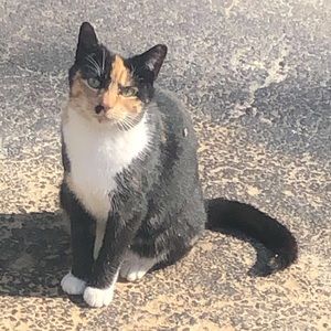 Meet your Posher, Christy